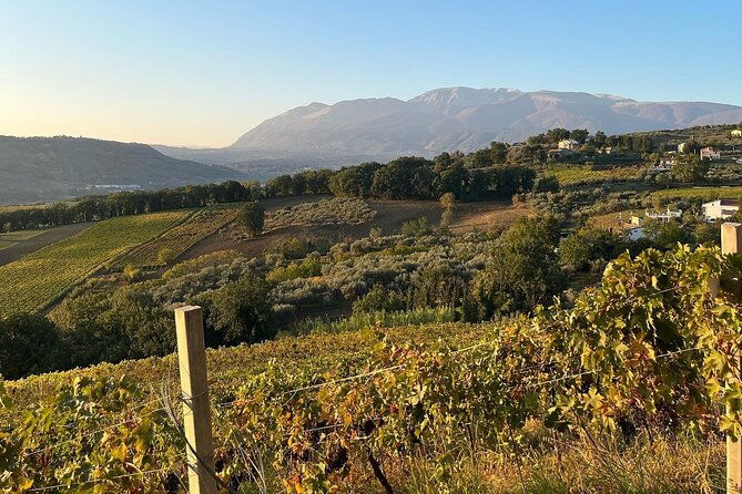 winery-tour-and-tasting-in-abruzzo