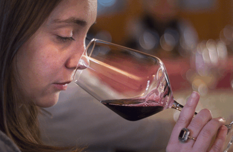winery-tour-tasting-on-padova-hills