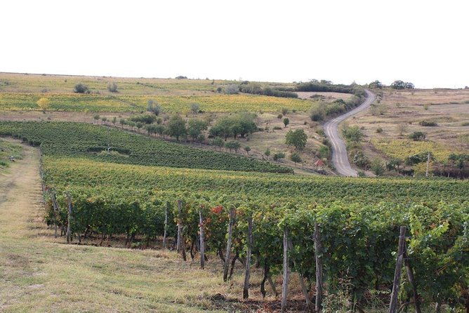 wines-of-wallachia-8-hours