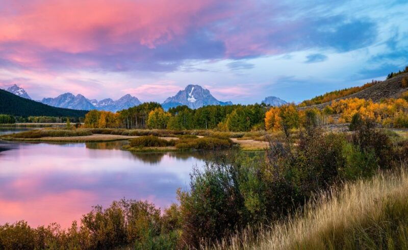 yellowstone-grand-tetons-4-day-3-night-wildlife-adventure