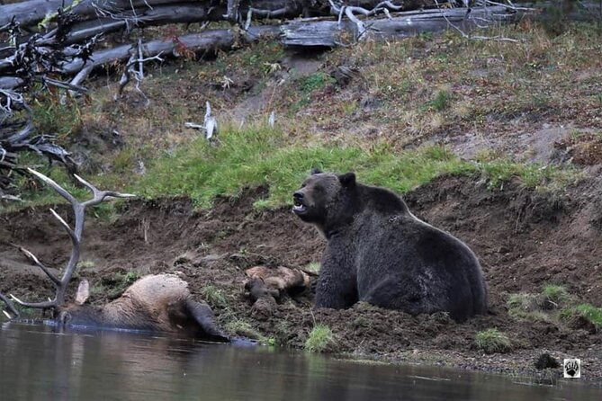 yellowstone-two-step-2-days-small-group-upper-and-lower-day-tours