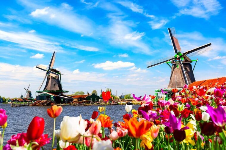 zaanse-schans-walking-tour-with-digital-guide