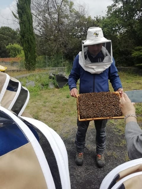 zafferana-etnea-honey-extraction-workshop-and-honey-tasting