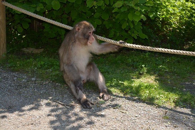 zagreb-monkey-park-affenberg-klagenfurt-minimundus