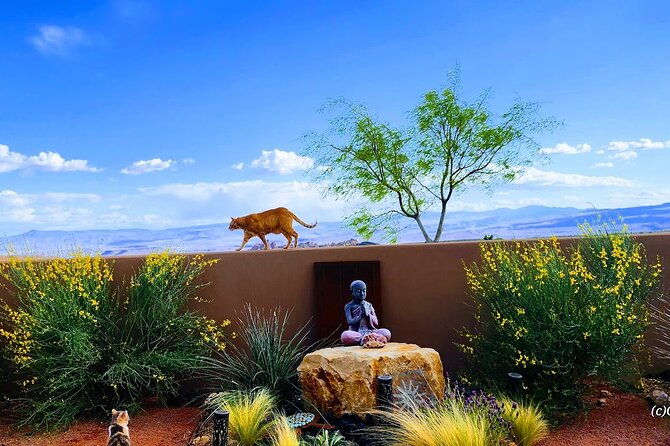 zen-garden-yoga-bliss-experience