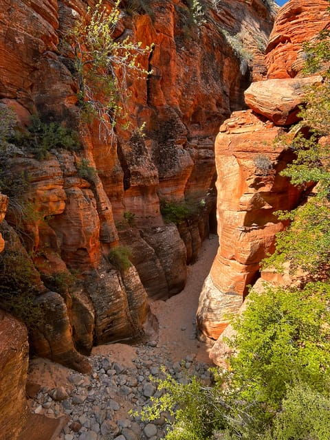 zion-national-park-5-hour-tour-hike-and-drive