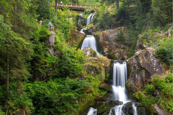 zurich-private-car-tour-to-rhine-falls-titisee-and-black-forest