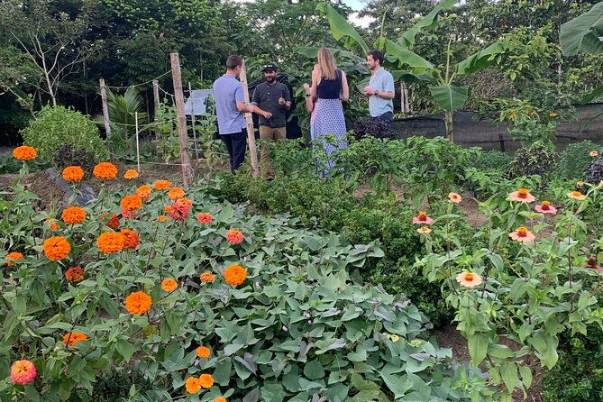 6-course-tropical-rainforest-foodie-adventure
