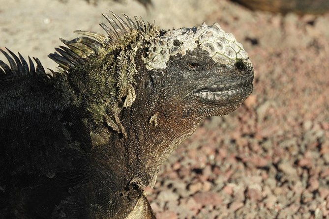 6-day-galapagos-superior-adventure-tourist-superior-class