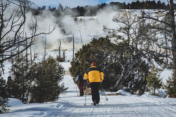 6-day-winter-wonderland-tour-in-yellowstone-national-park