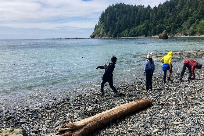 6-day-young-adventurers-summer-camp-in-olympic-national-park