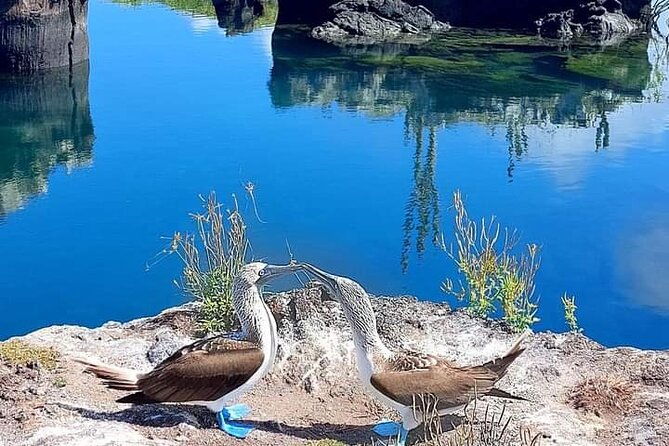 6-days-guided-galapagos-adventure-in-ecuador