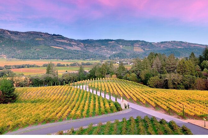 6-hour-custom-napa-or-sonoma-private-wine-tour