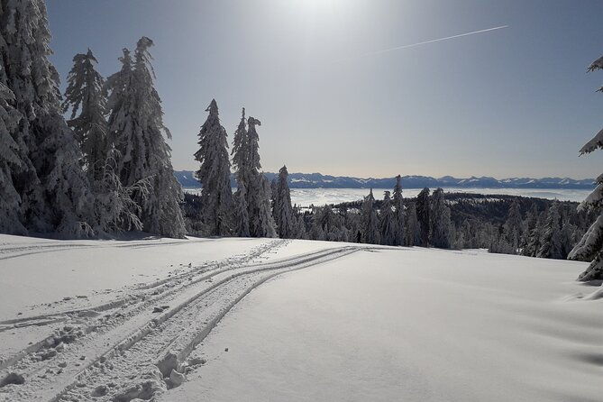 1-day-private-snowshoe-hike-in-the-gorce-mountains-near-krakow