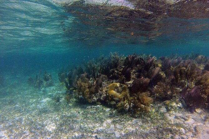 1-stop-snorkel-adventure-with-beach-break