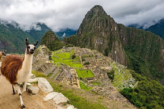 12-day-cusco-machu-picchu-galapagos-islands-tour