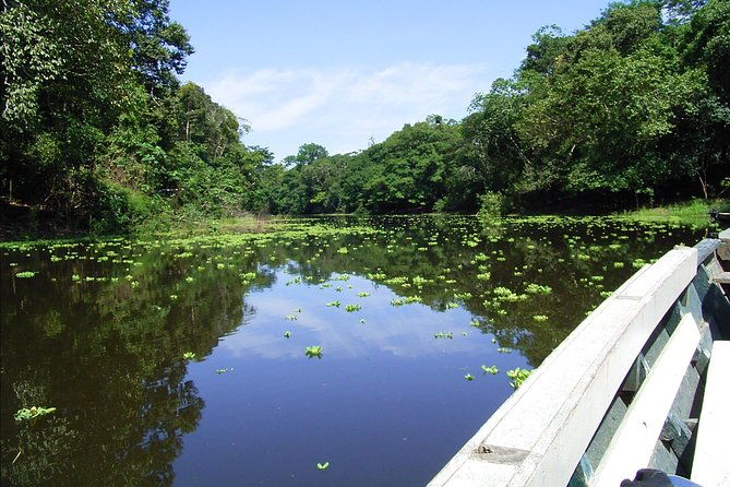 2-days-1-night-tambopata-jungle