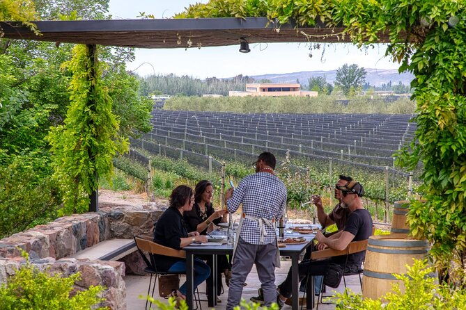 2-wineries-and-1-distillery-full-day-tour-with-lunch-in-mendoza