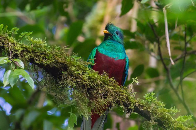3-day-tour-of-coban-and-semuc-champey-from-guatemala-city