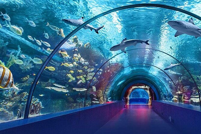 4-hour-guided-antalya-aquarium-tour