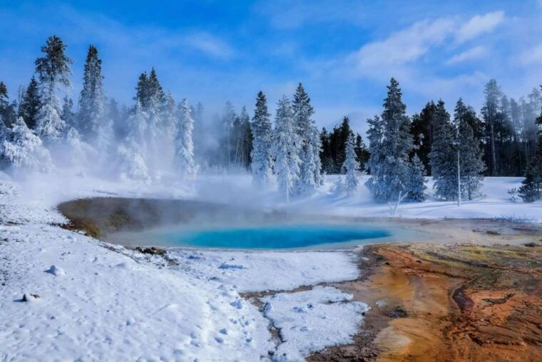 5-day-winter-yellowstone-wildlife-tour