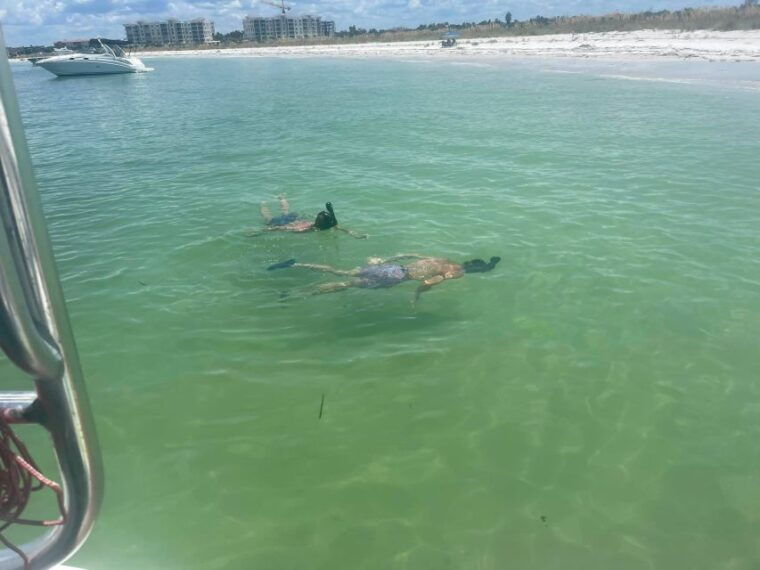 5-hour-egmont-key-tour-in-st-pete