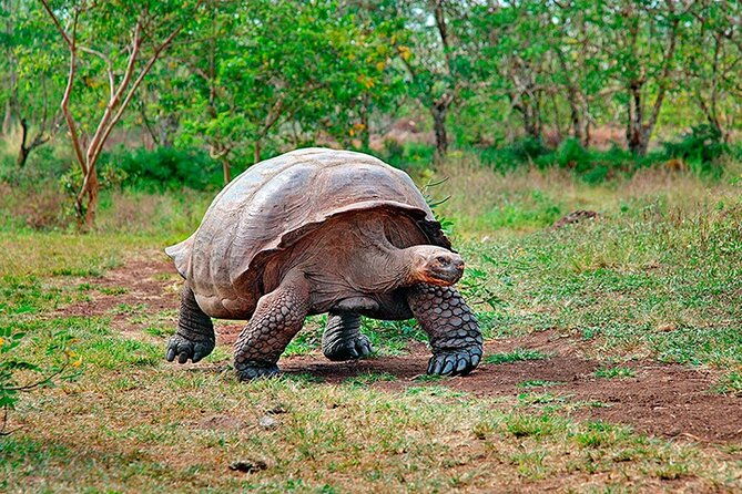 7-days-galapagos-island-hopping-tour-in-ecuador