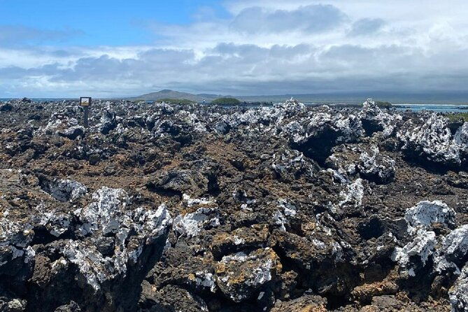 8-day-best-of-quito-and-galapagos-santa-cruz-isabela-unhinhabited-island