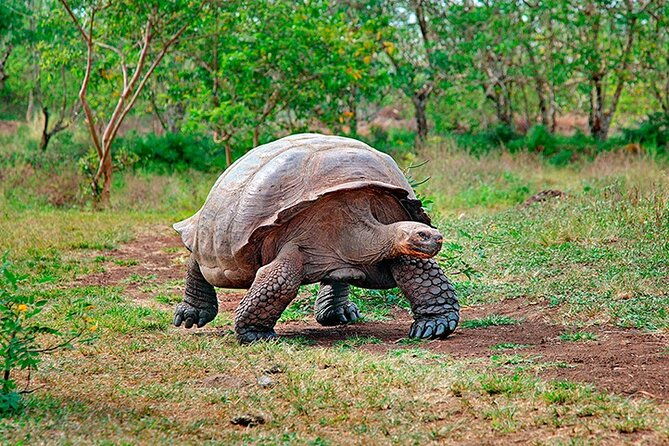 9-days-galapagos-island-hopping