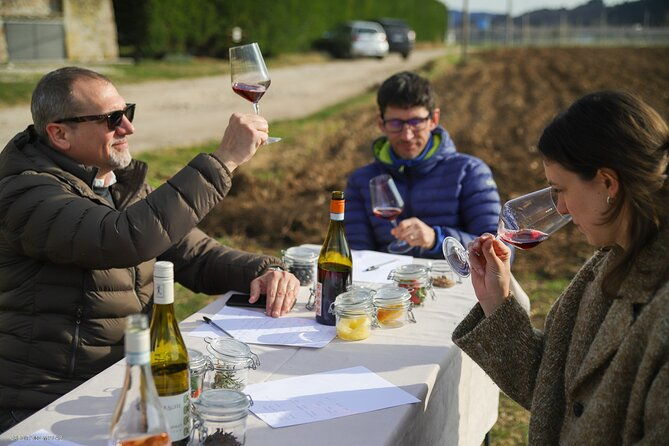 a-journey-into-wines-tastes-and-aromas