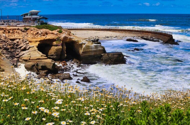 a-seaside-stroll-la-jollas-hidden-treasures-walking-tour
