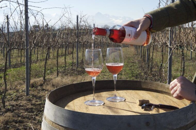 abruzzo-historic-cellar-wine-tour-and-tasting