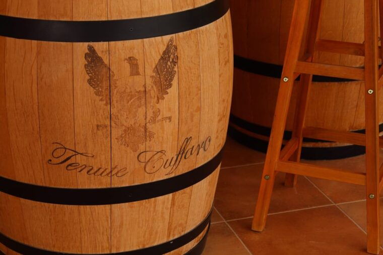 agrigento-wine-tasting-and-walk-in-the-vineyards