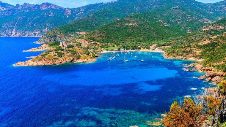 ajaccio-guided-scandola-nature-reserve-boat-tour