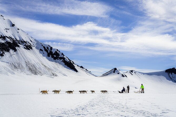 alaska-helicopter-and-glacier-dogsled-tour-seward-area