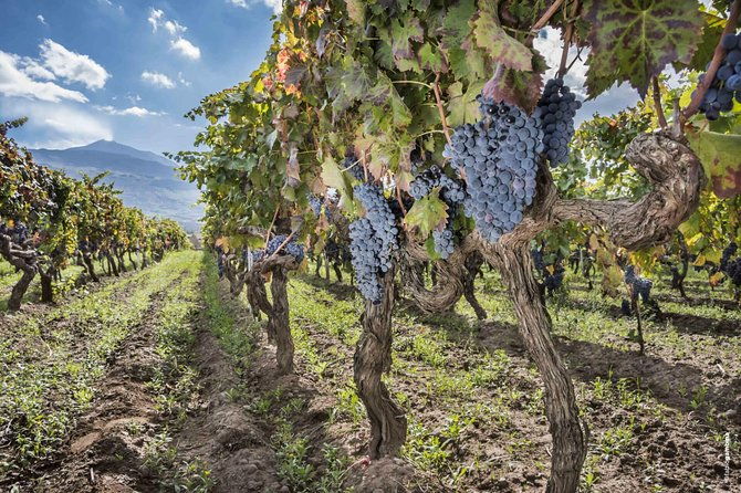 alcantara-food-wine-day-tour-private-experience