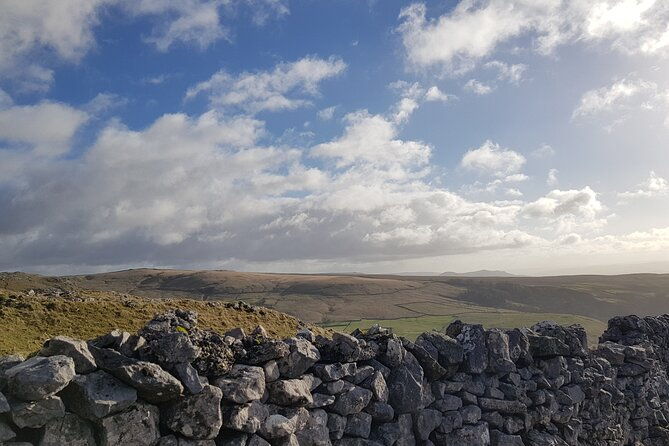 all-creatures-great-and-small-private-tour-from-the-lake-district