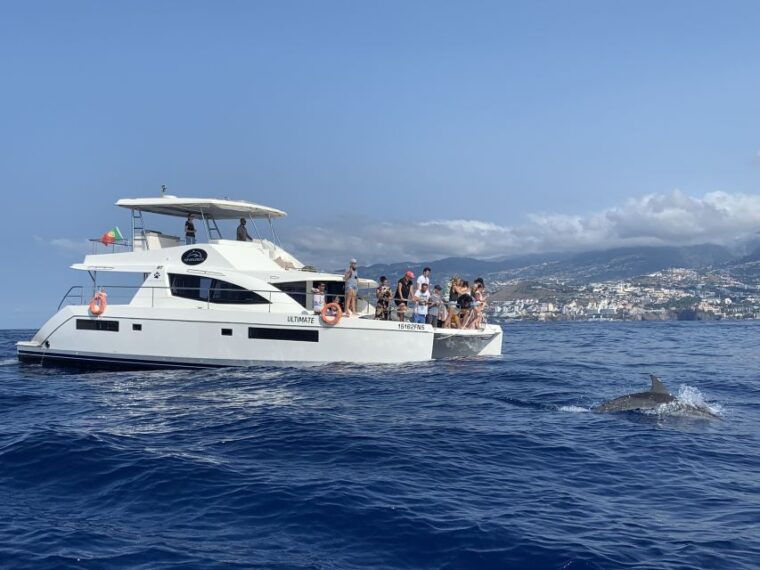 all-inclusive-whale-and-dolphin-watching-luxury-tour