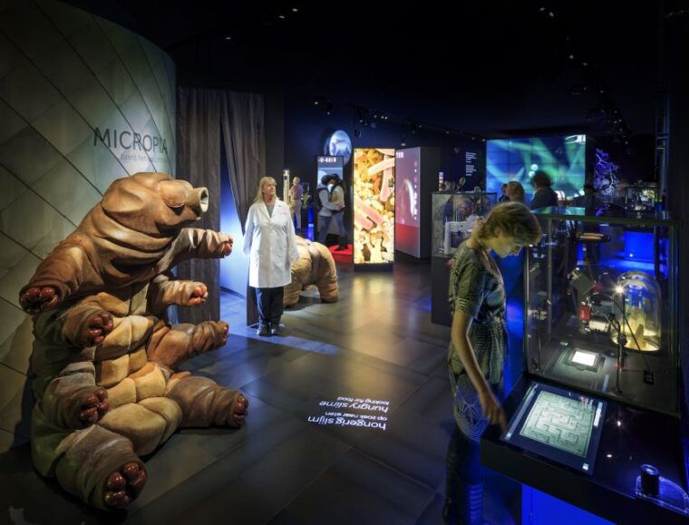 amsterdam-artis-micropia-microbe-museum-entry-ticket