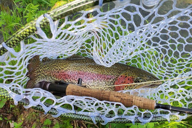 anchorage-guided-fly-fishing