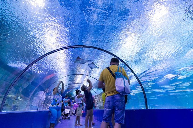 antalya-aquarium-tour-platinium-tour