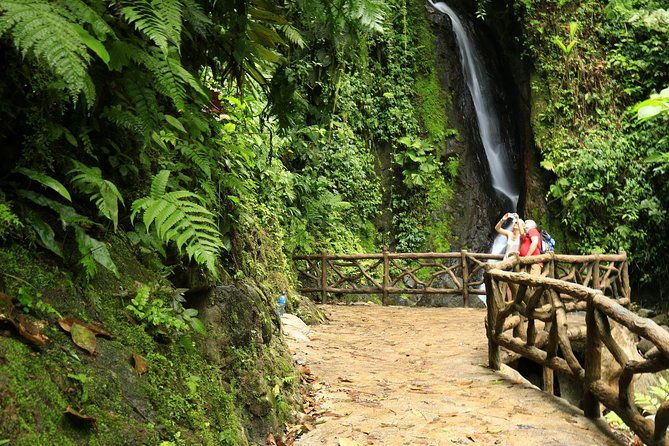arenal-discovery-adventure-3hanging-bridges-waterfall-lunch