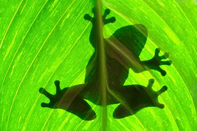 arenal-sloths-lovers-baldi-hot-springs-private-tour