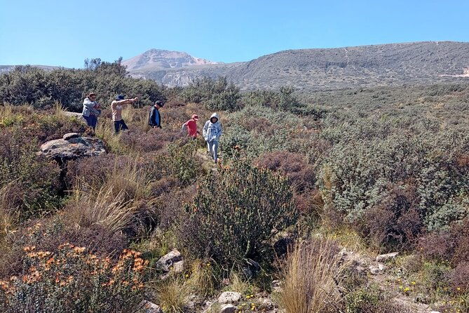 arequipa-half-day-countryside-hiking-tour