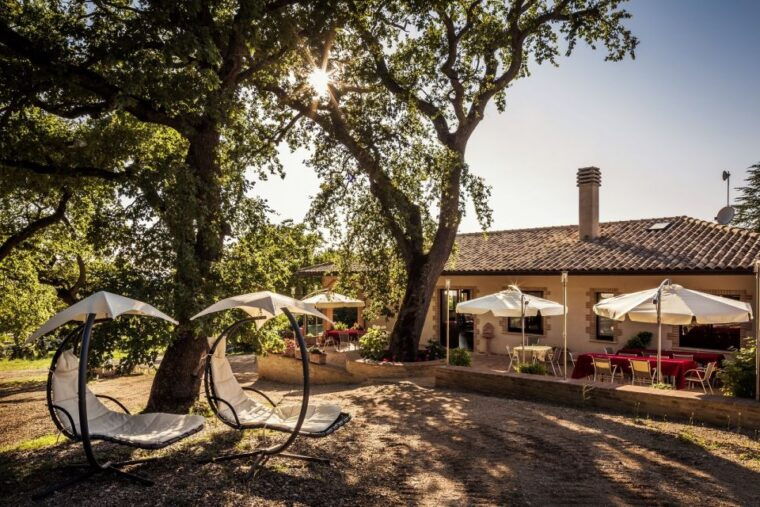 assisi-organic-winery-tour-with-tastings-typical-food