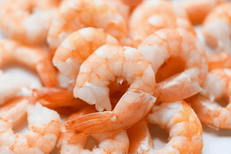 austin-master-the-art-of-colossal-shrimp-alfredo-pasta