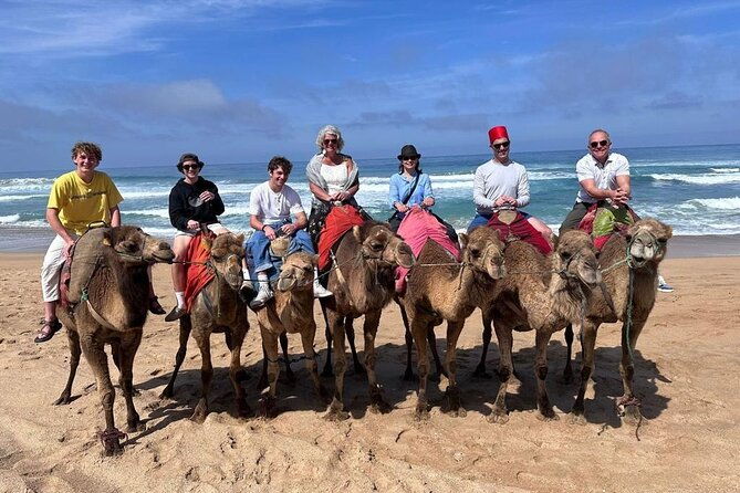 authentic-private-tangier-tour-from-seville-camel-ride-lunch