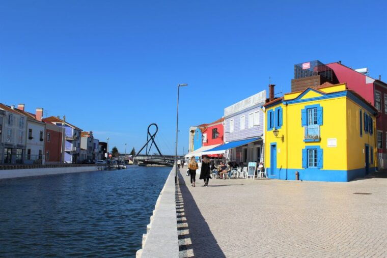 aveiro-private-walking-tour-in-the-city-and-moliceiro-boat