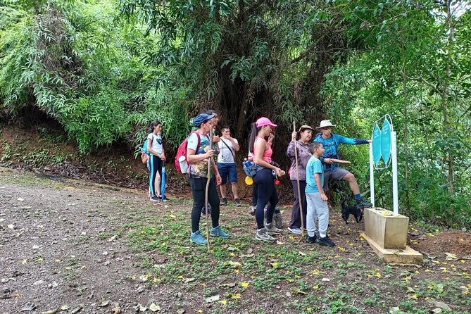 awa-water-museum-waterfall-adventure-organic-food-experience
