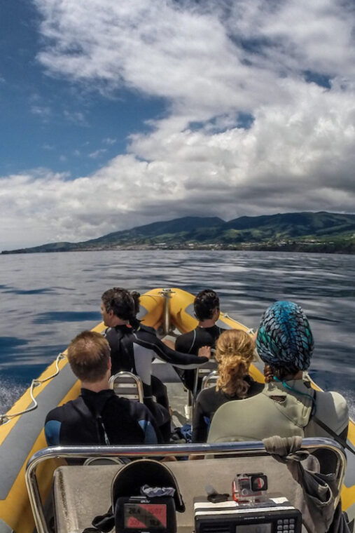 azores-swim-with-dolphins-atlantic-experience